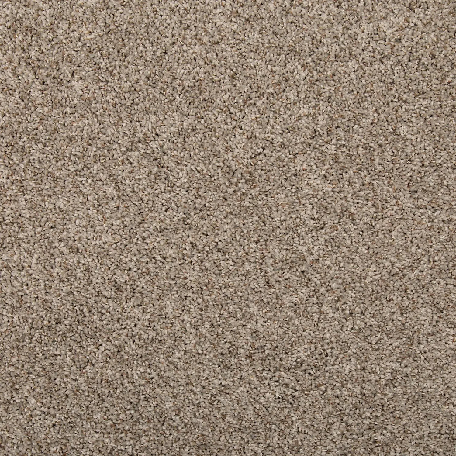 EverStrand | Color Classics I Boulevard