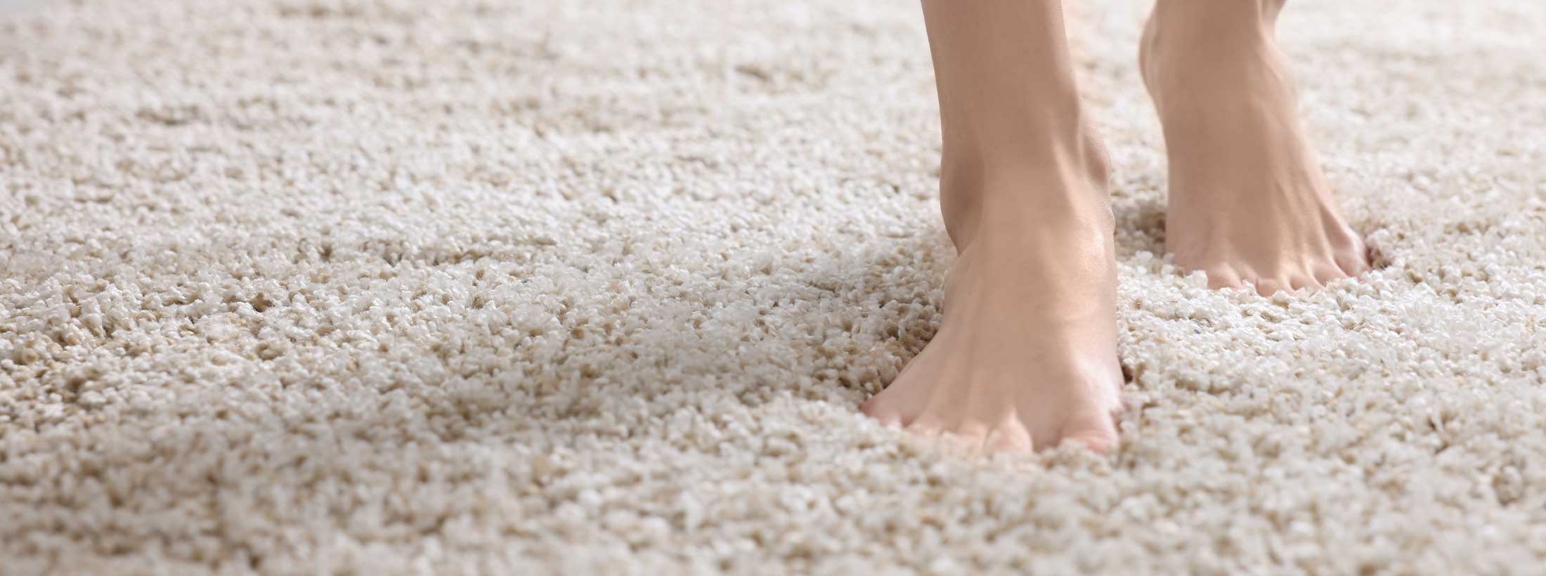 Tampa Carpet Installation